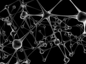 network-neurons-1-1043922-m